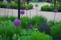 /album/blaa/a19m-jpg/