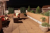 /album/kusok-rajskej-zahrady-v-meste/img-2962-jpg/